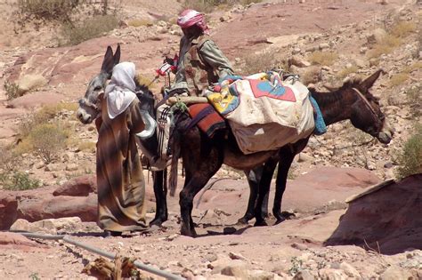 Bedouin Couple With Donkeys Charlesfred Flickr