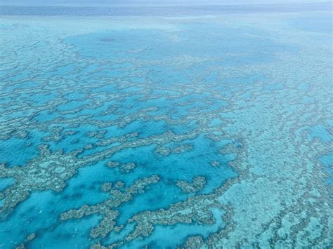 Great Barrier Reef Scenic Flight Guide How To Fly The Great Barrier Reef