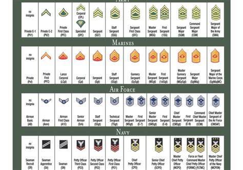Us Armed Forces Rank And Structure Enlisted Ranks In The Military E1 E9