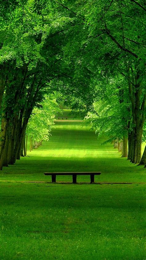 Beautiful Green Landscape Pictures Patio Designs Beautiful Styles
