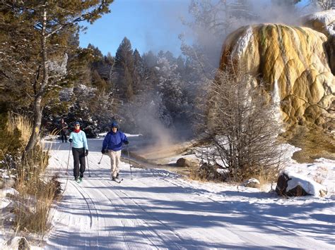10 Reasons To Visit Yellowstone In The Winter