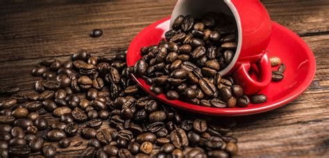 This article features the undeniably best coffee beans that money can buy, with exceptional flavors, and soothing aromas. Arabica coffee type, Arabica coffee beans and brands