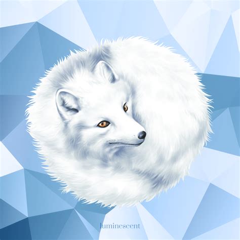 Arctic Fox By Vervex On Deviantart