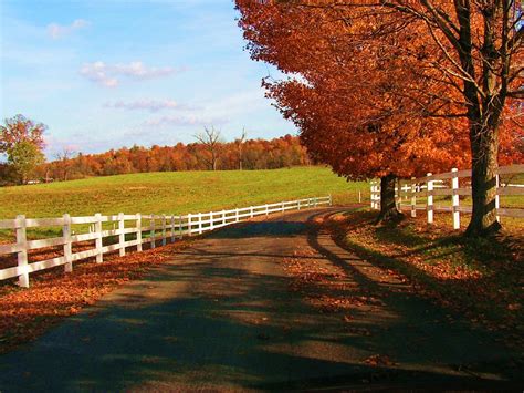 46 Fall Country Scenes Wallpaper On Wallpapersafari