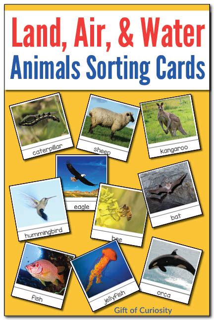 Sorting Animals That Live On Land Air And Water Montessori Printable