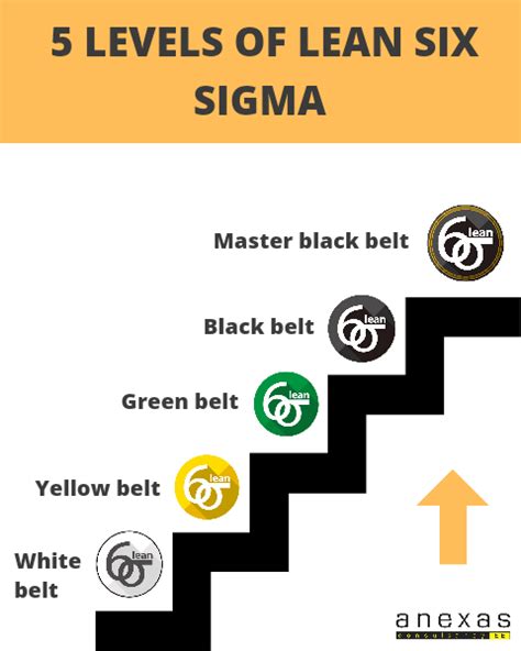 Who Provides Lean Six Sigma Certification Top 3 Institutes