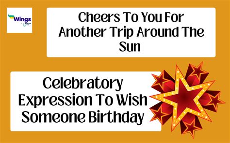 Cheers To You For Another Trip Around The Sun Meaning Examples