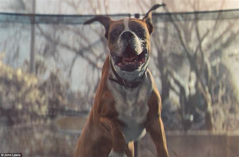 We did not find results for: John Lewis' Christmas ad campaign is finally here starring ...