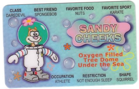 Sandy Cheeks Of Sponge Bob Squarepants Fun Id Card Drivers Etsy