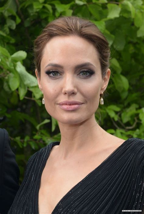 Pin By Olga Valis On Angelina Jolie Angelina Jolie Makeup Angelina