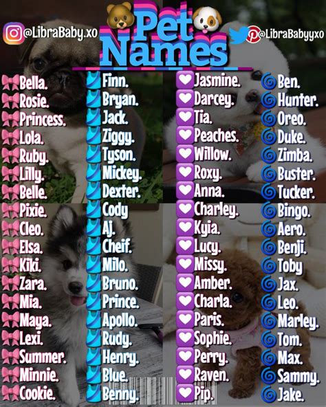 100 Unique Boy Dog Names Meanings That You Don T Hear Too Often Artofit