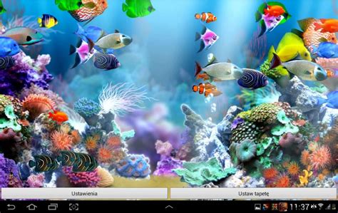 Top 10 Best Aquarium Screensaver Prver