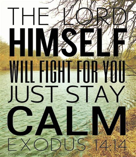 Exodus 1414 The Lord Shall Fight For You And Ye Shall Hold Your Peace