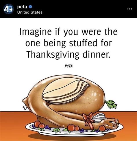 Peta Un Ted States Imagine If You Were The One Being Stuffed For Thanksgiving Dinner Pcta Ifunny