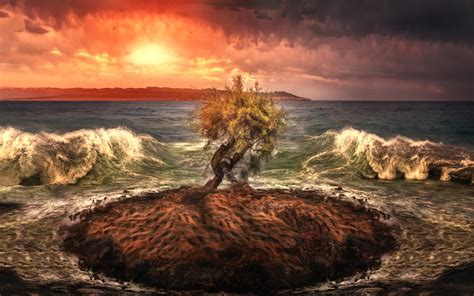 Wallpaper Lonely Tree Small Island Sea Waves Sunset 7680x4320 Uhd