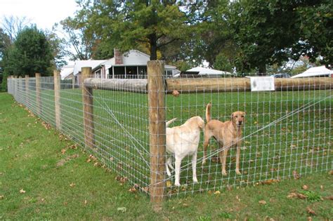Woven Wire Fence Installation In Ranch House With Acreage Dog Yard