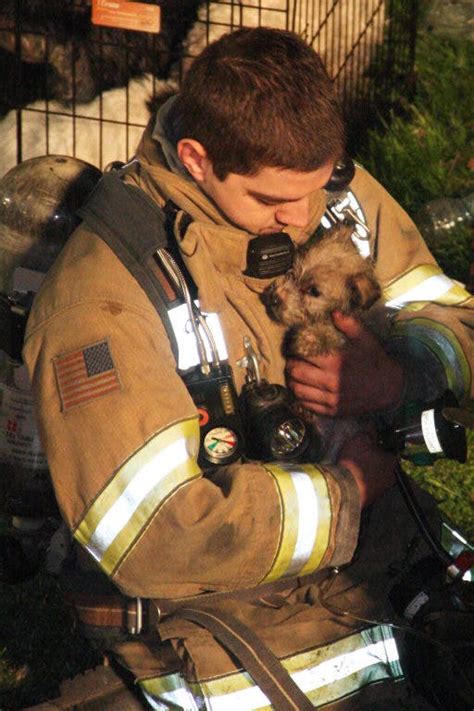 Firefighters Rescue Revive 20 Dogs From House Fire Lawrenceville Nj