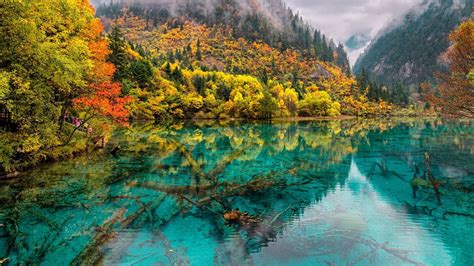 Autumn Lake Reflection Hd Wallpaper Background Image