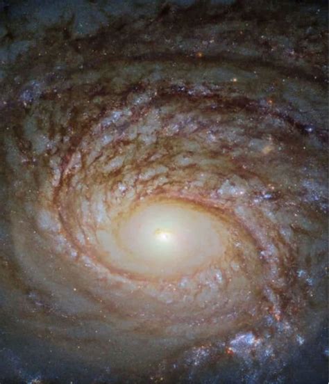 Nasa News Supermassive Blackhole Creating Stars At A