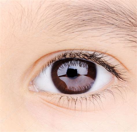 Child Macro Closeup Eye — Stock Photo © Zurijeta 8843710