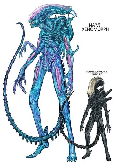Tumblr Xenomorph Alien Artwork Alien Vs Predator