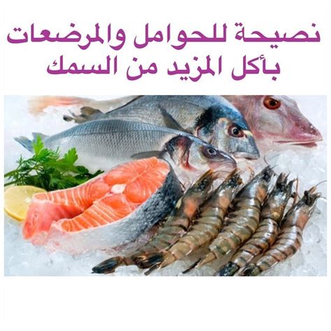 توب دكتورز — بعض الأنواع من المأكولات البحرية مهمة جداً للحامل