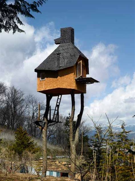 The Coolest Tree Houses In The World The 13 Most Amazing Homes Living