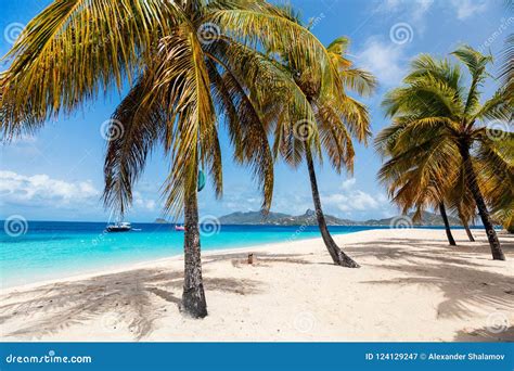 Idyllic Beach At Caribbean Stock Image Image Of Lagoon 124129247