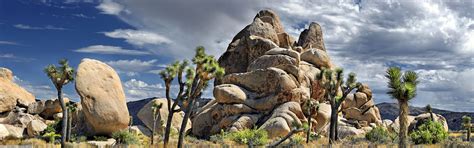 Nature Landscape Rock Joshua Tree National Park Wallpapers Hd