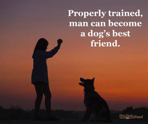 Best Dog Quotes 60 To Inspire You