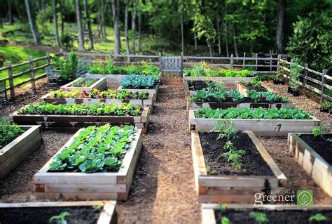 Pictures of Benefit Of Raised Bed Vegetable Garden