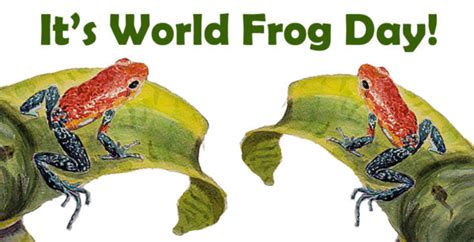 World Frog Day