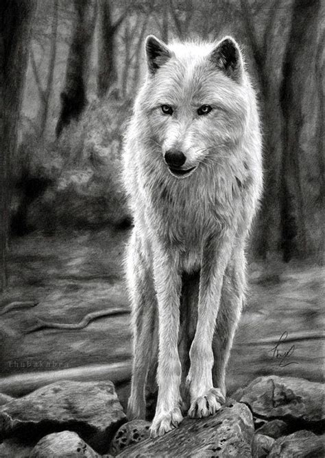 Drawing with pencils is one of them. 40 Realistic Animal Pencil Drawings