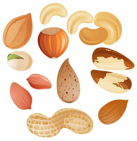 Free Nuts Cliparts Download Free Nuts Cliparts Png Images Free