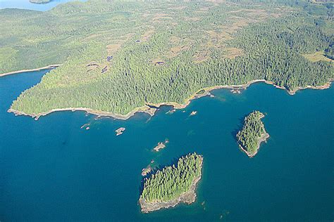 Interior Approves Logging In Tongass National Forest Amid