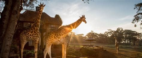 Do Not Use Jetsetter Giraffe Manor Hotel Unique Hotels Luxury Safari