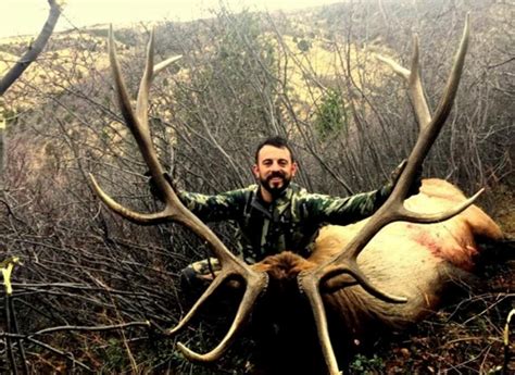 Colorado Archery Elk Hunts Otc Guided September Cow And Bull