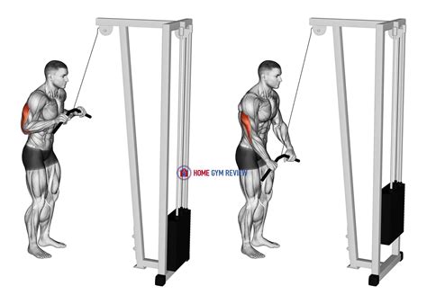 Cable Pushdown Home Gym Review