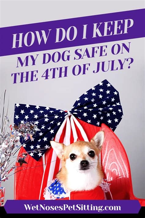 How Do I Keep My Dog Safe On The 4th Of July Wet Noses Pet Sitting