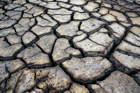 Cracked earth - Stock Image - E147/0141 - Science Photo Library