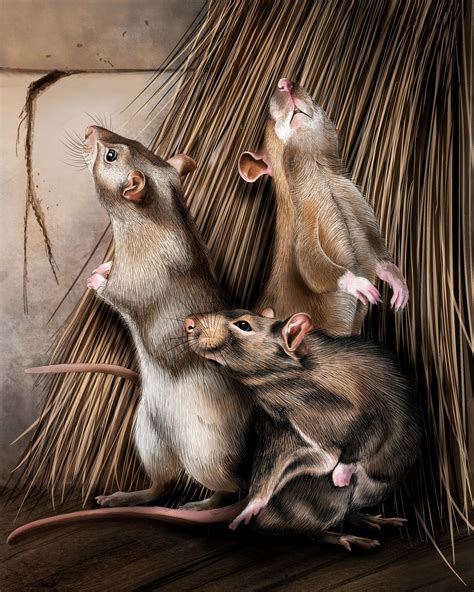 Artstation Rats
