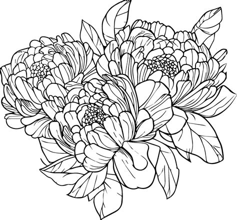 Hand Drawn Peony Flower Peony Flower Bouquet Vector Sketch