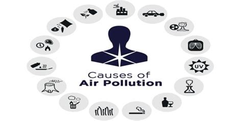 Pollution Causes And Remedies Assignment Point