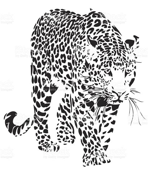 Вектор с леопардовым принтом Сток Вектор Стоковая фотография Motif
