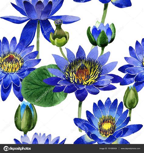 Download lotus flower stock vectors. Pictures: blue lotus flower | Wildflower blue lotus flower ...