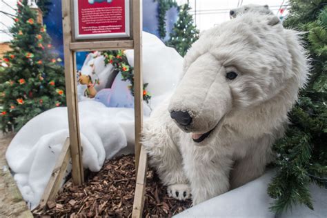 Selected english stores open for outdoor dining. Look inside Dobbies' Christmas grotto in Liverpool ...