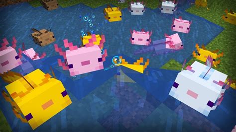 Minecraft Snapshot 20w51a Adds Axolotls