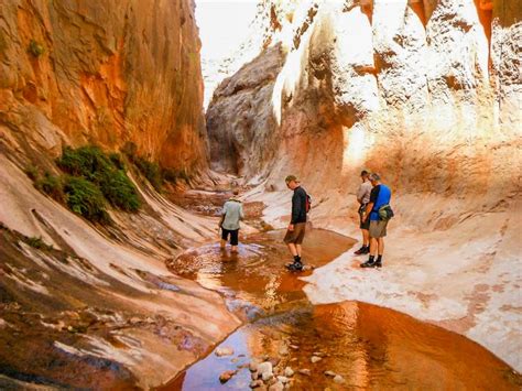 Hiking Up Kanab Creek In Utah With Four Season Guides Out Of Flagstaff