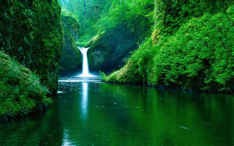 Download Nature Greenery Water Waterfall Hd Wallpaper