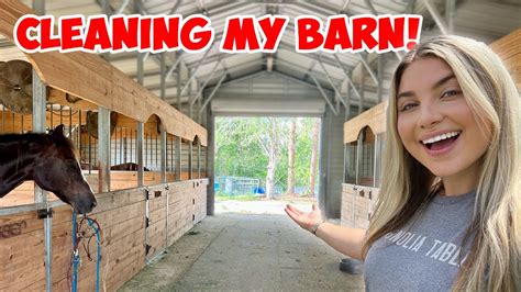 Cleaning My Horse Barn Farm Vlog Youtube